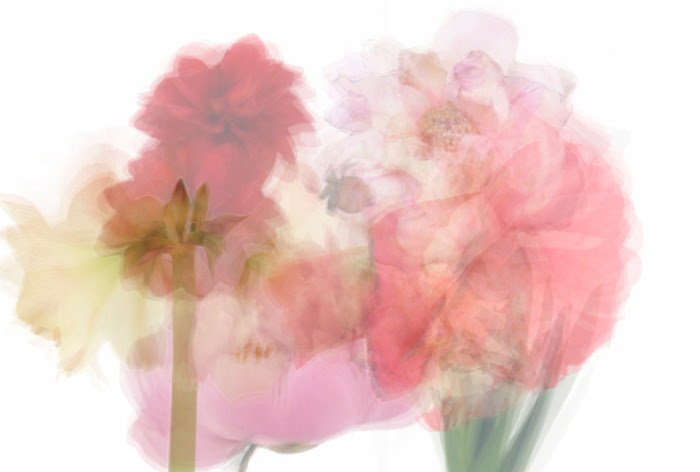 Culturescape Tokyo 2014